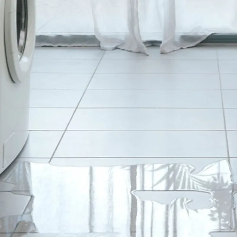 Appliance Leak Cleanup in Venice, IL