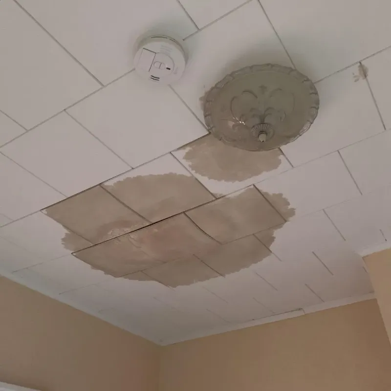 Ceiling Water Damage Repair in Venice, IL